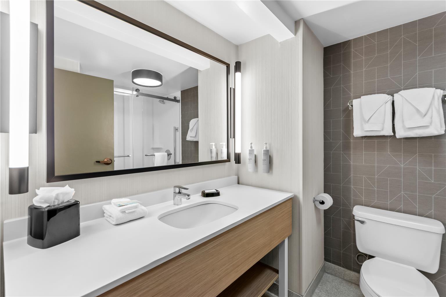 Guest room bath 