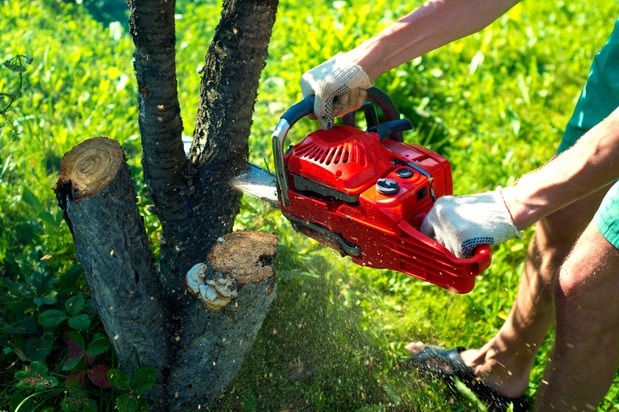 Images Universal Landscaping