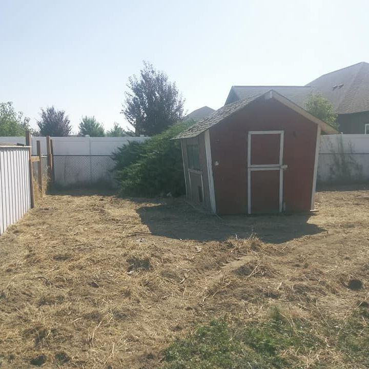 Images Mario's Yard Care