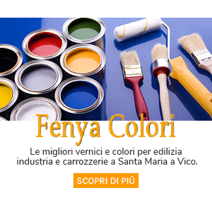 Fenya Colori Logo