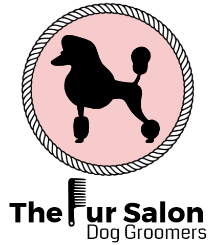 The Fur Salon Oldham 07801 564853