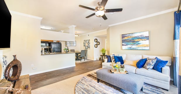 Images MAA Foothills