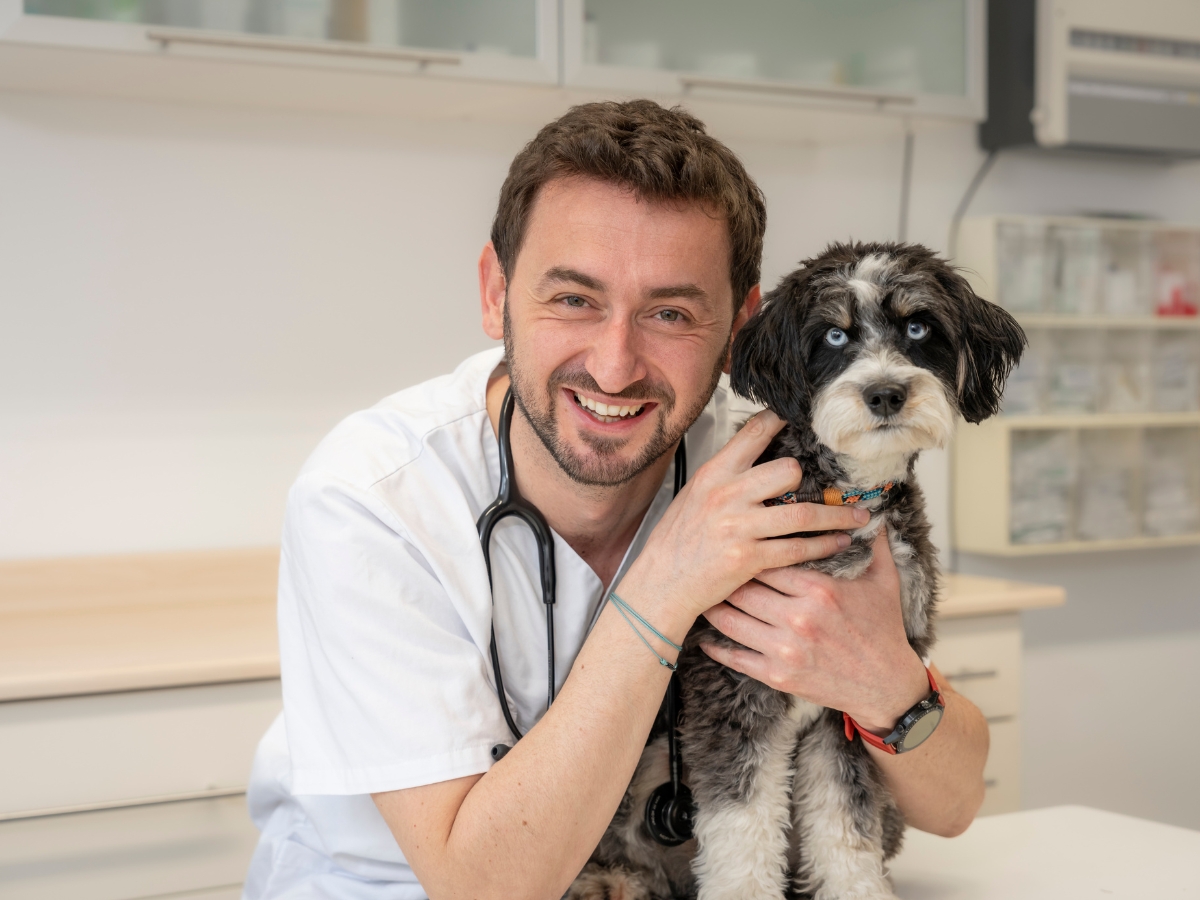 Bilder Tierarzt Limeshain, Kleintierzentrum Kilb&Team