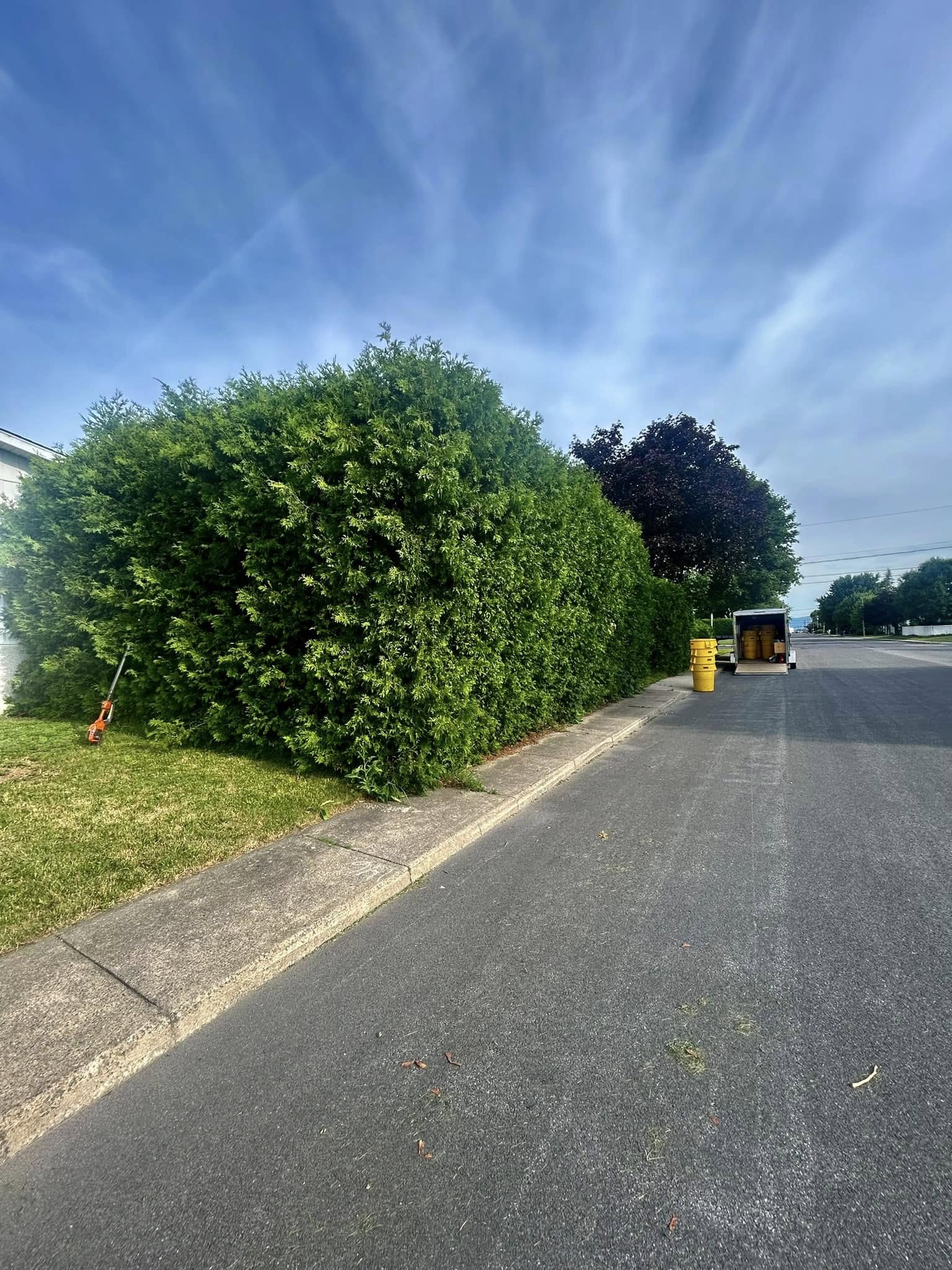 Images Taille de haie EB - Entretien de haie Saint-Hyacinthe