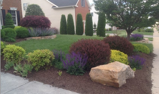 Images Elvira Landscaping