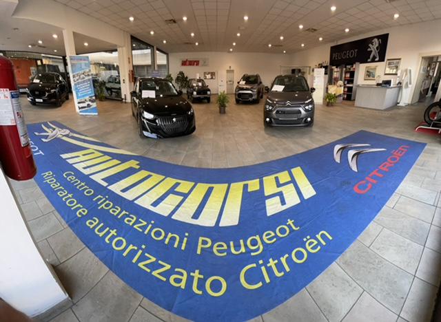 Images Autoriparazioni Corsi Peugeot Citroen Mg