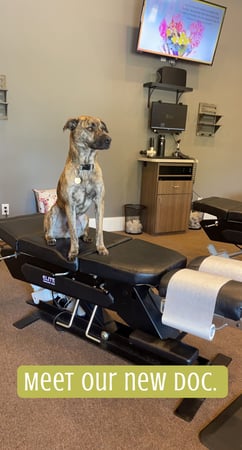 Images 100% Chiropractic - Chattanooga