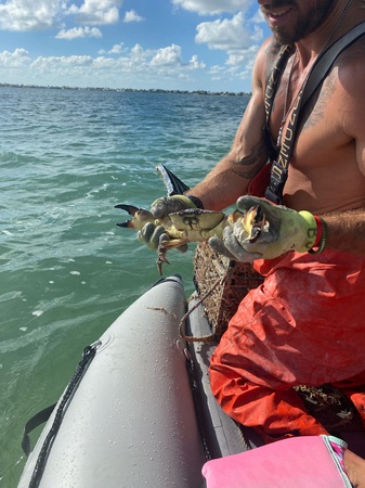 Images SeaEO Luxury Boat Charters