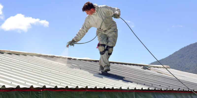 Roof painting is far more affordable than replacing your roof if you want a color change.