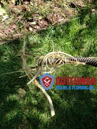 Images Dutchman Drains & Plumbing