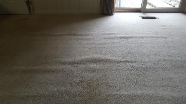 Images Carpet RX of Louisville