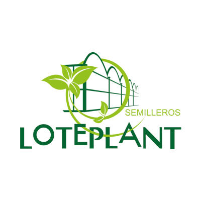 Semilleros Loteplant Logo