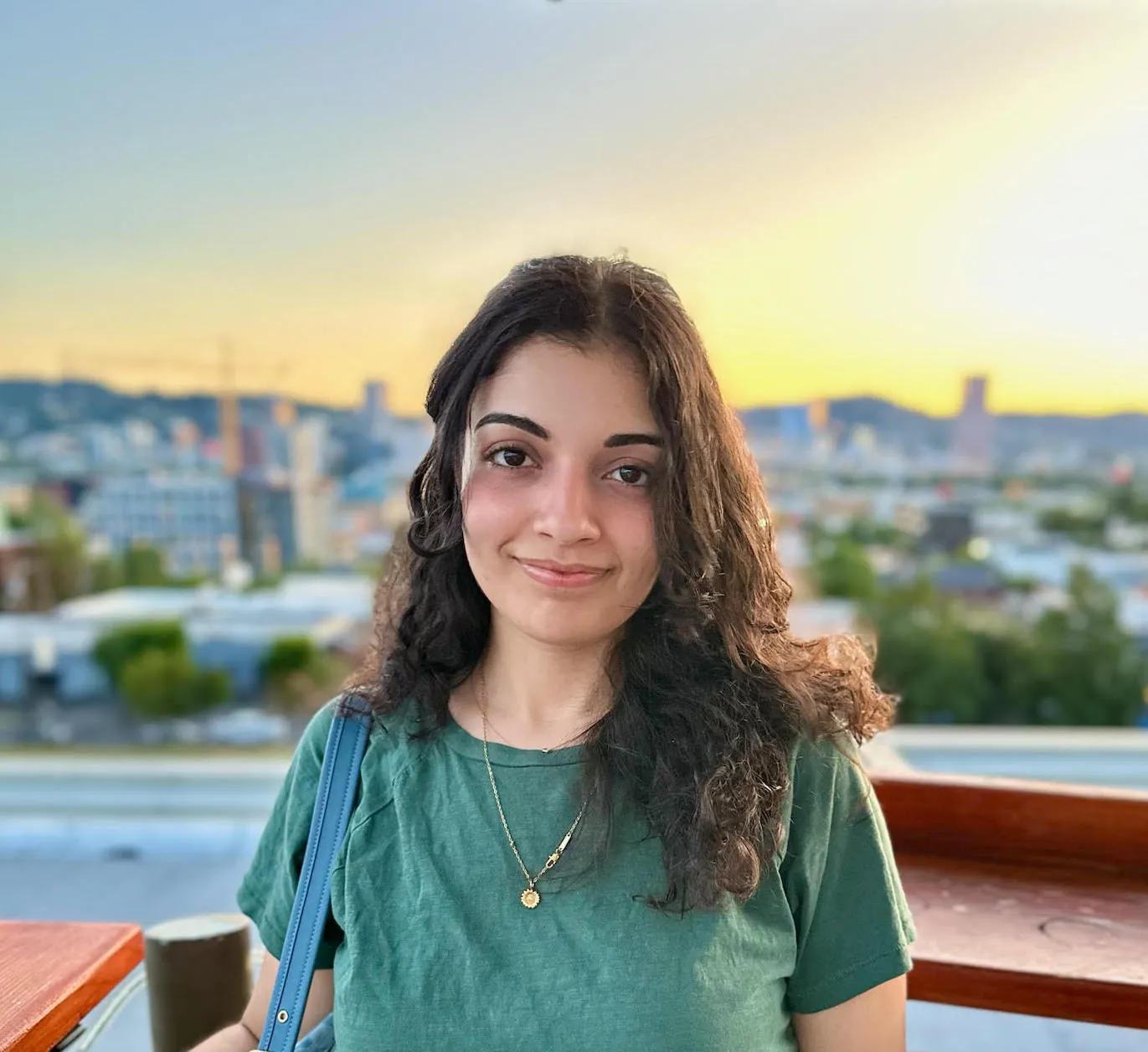 Saja Necibi