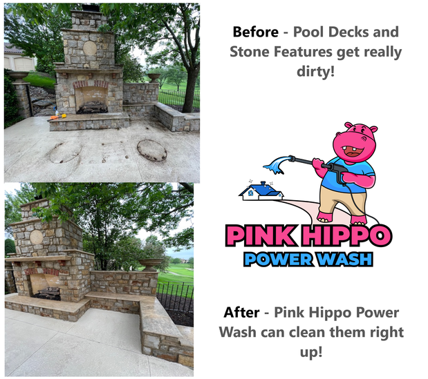 Images Pink Hippo Power Wash