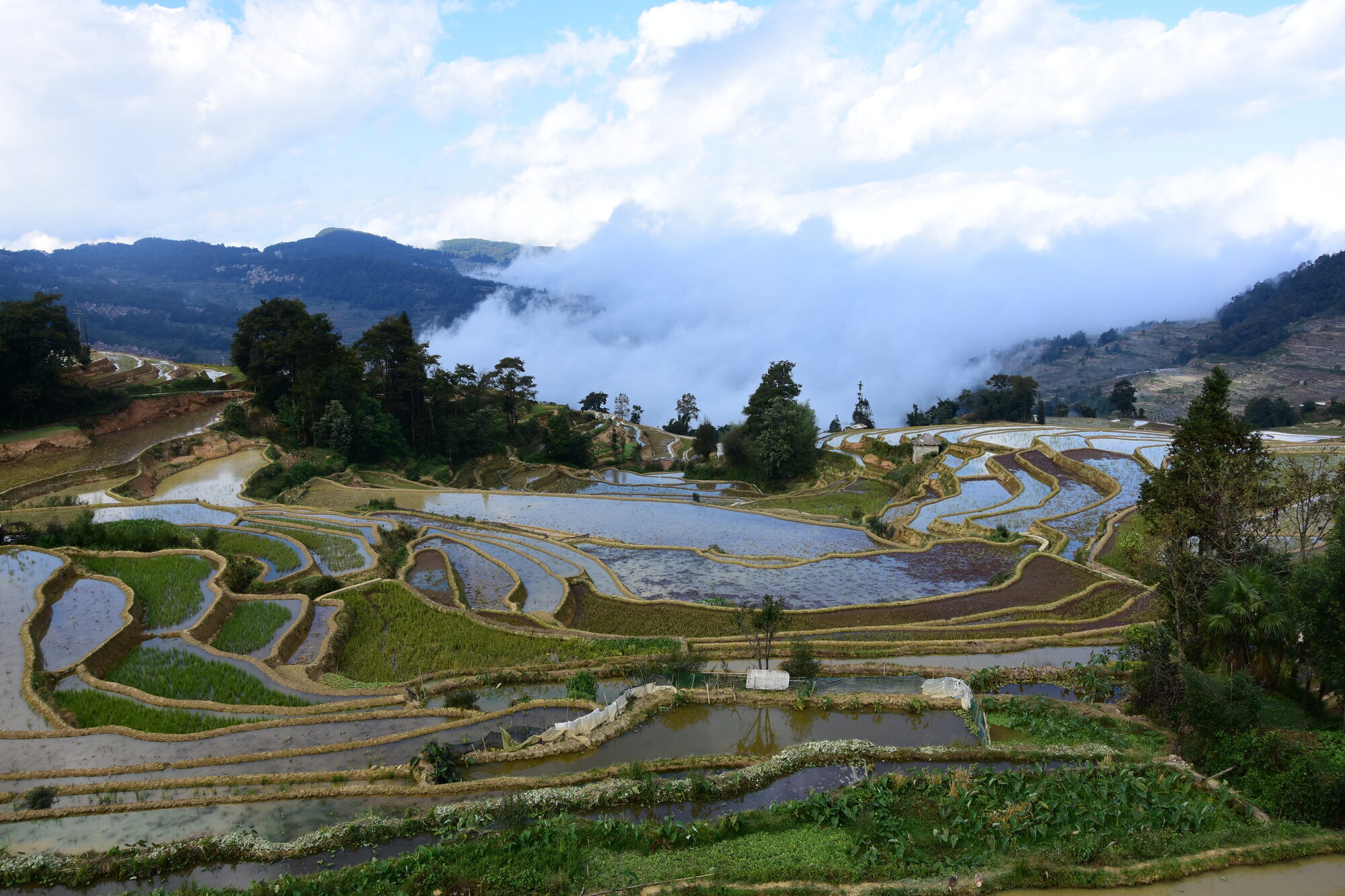 China Hansa Travel, Richardstraße 66 in Hamburg