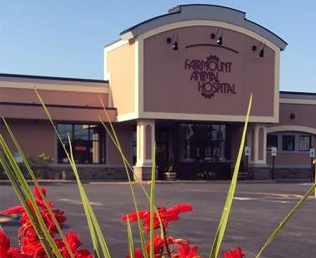 Images VCA Fairmount Animal Hospital