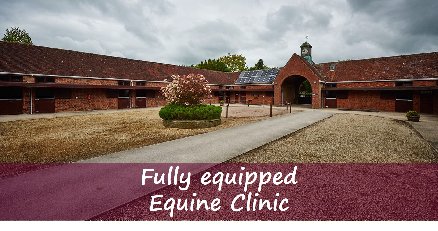 Images Hampden Vets, Barrettstown Equine Clinic