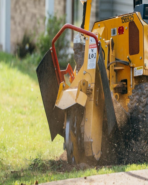 Images Woodeez Tree Service