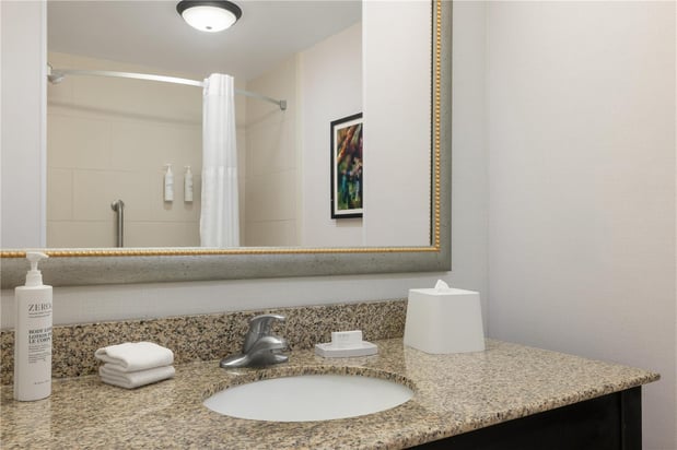 Images Hampton Inn & Suites Baton Rouge Downtown