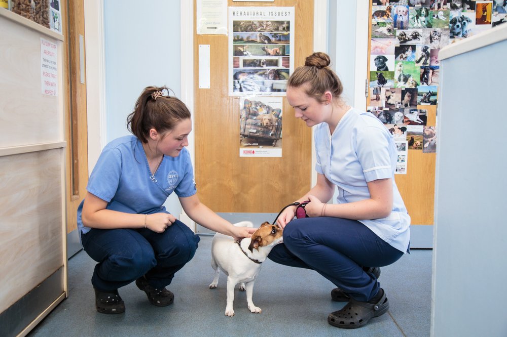 Images Heywood Veterinary Centre