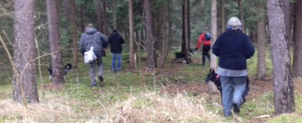 Hundeschule Engelmann, Buchenstrasse 6 in Veitsbronn