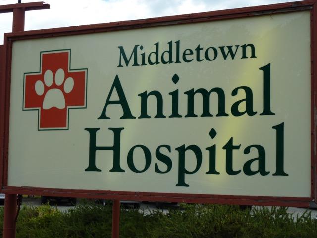 Middletown Animal Hospital - Middletown, CA - Company Page