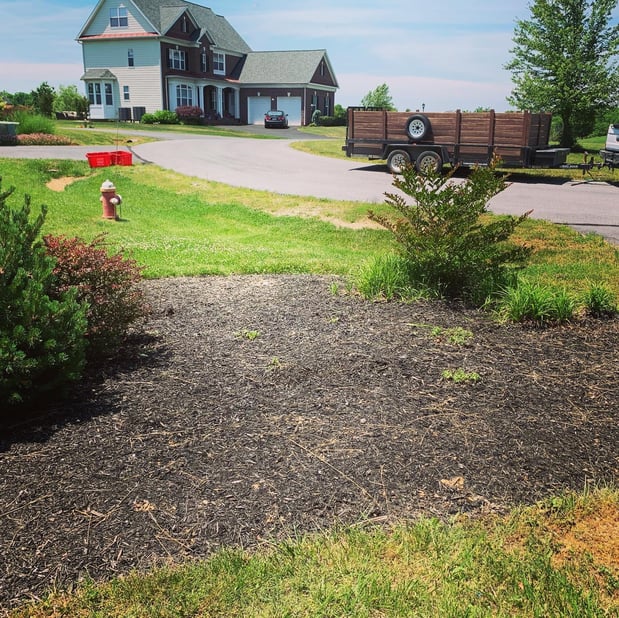 Images Barr Landscaping