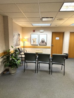 Images LifeStance Therapists & Psychiatrists Wellesley