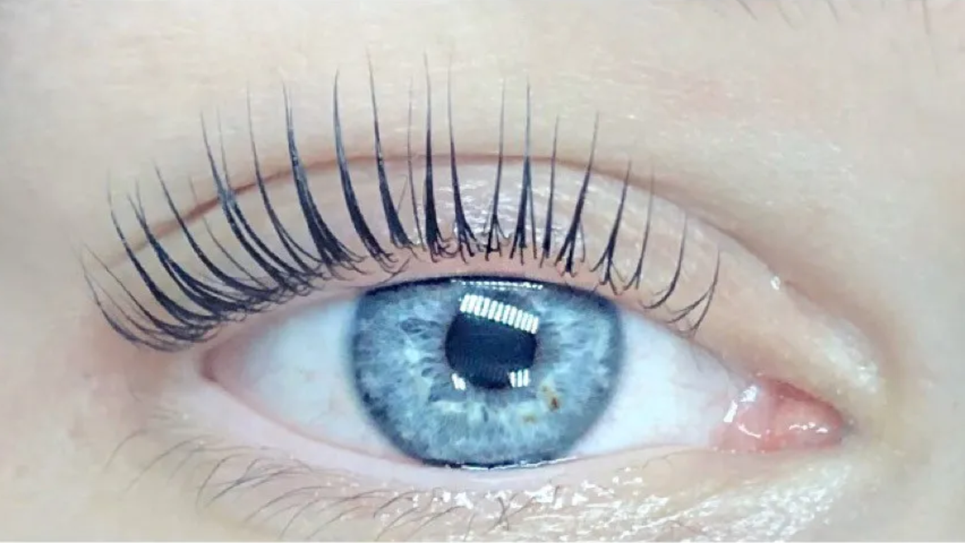 Images Allure Lash & Brow studio