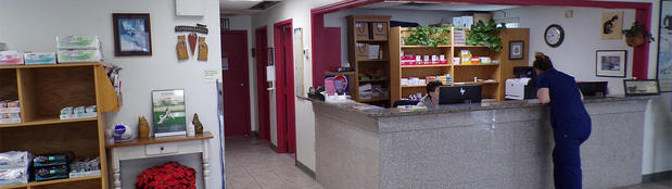 Images VCA Auburn Animal Hospital