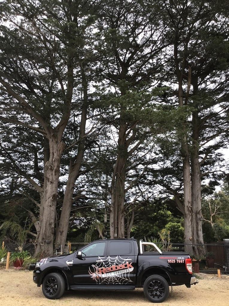 Images Redback Tree Services Greensborough