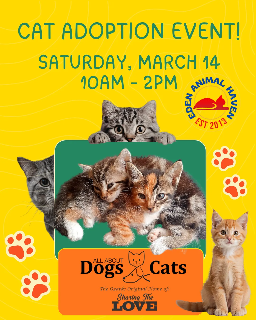 Image of Local Pet Event Kitty Adoption Event Nearby