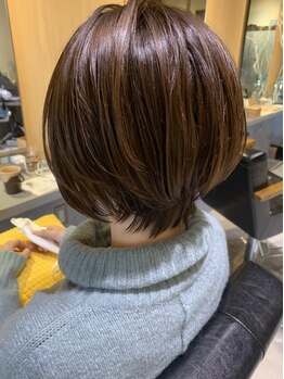 Images CYAN 綱島店