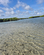 Images Treasure Coast Boat Rentals