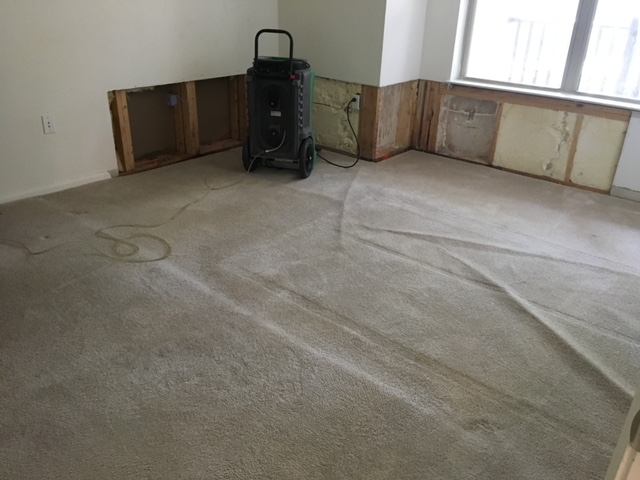 Working on a residential mold remediation!