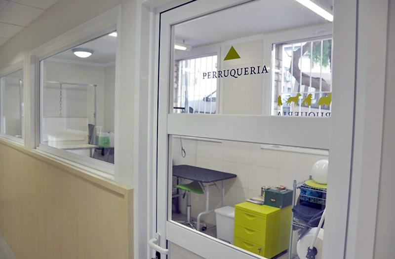 Images Centre Veterinari Ocata