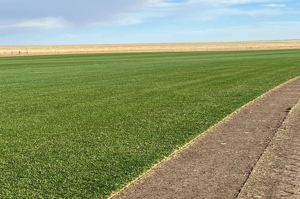Images Schubert's Sod Depot