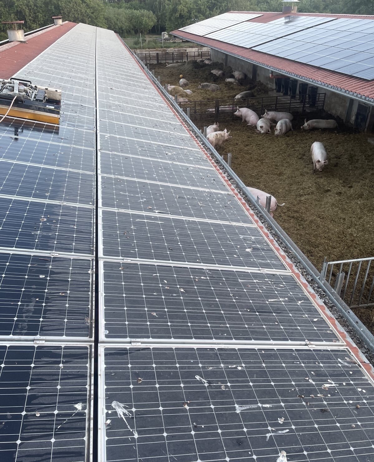 Photovoltaik- & Gebäudereinigung Frank Galley, Glücksburger Straße 7 in Mittelangeln