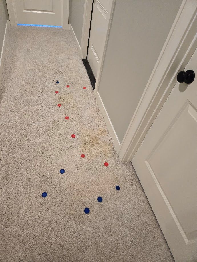 urine odor mitigation removal from carpet fort wayne indiana by chem-dry professional odor removal
