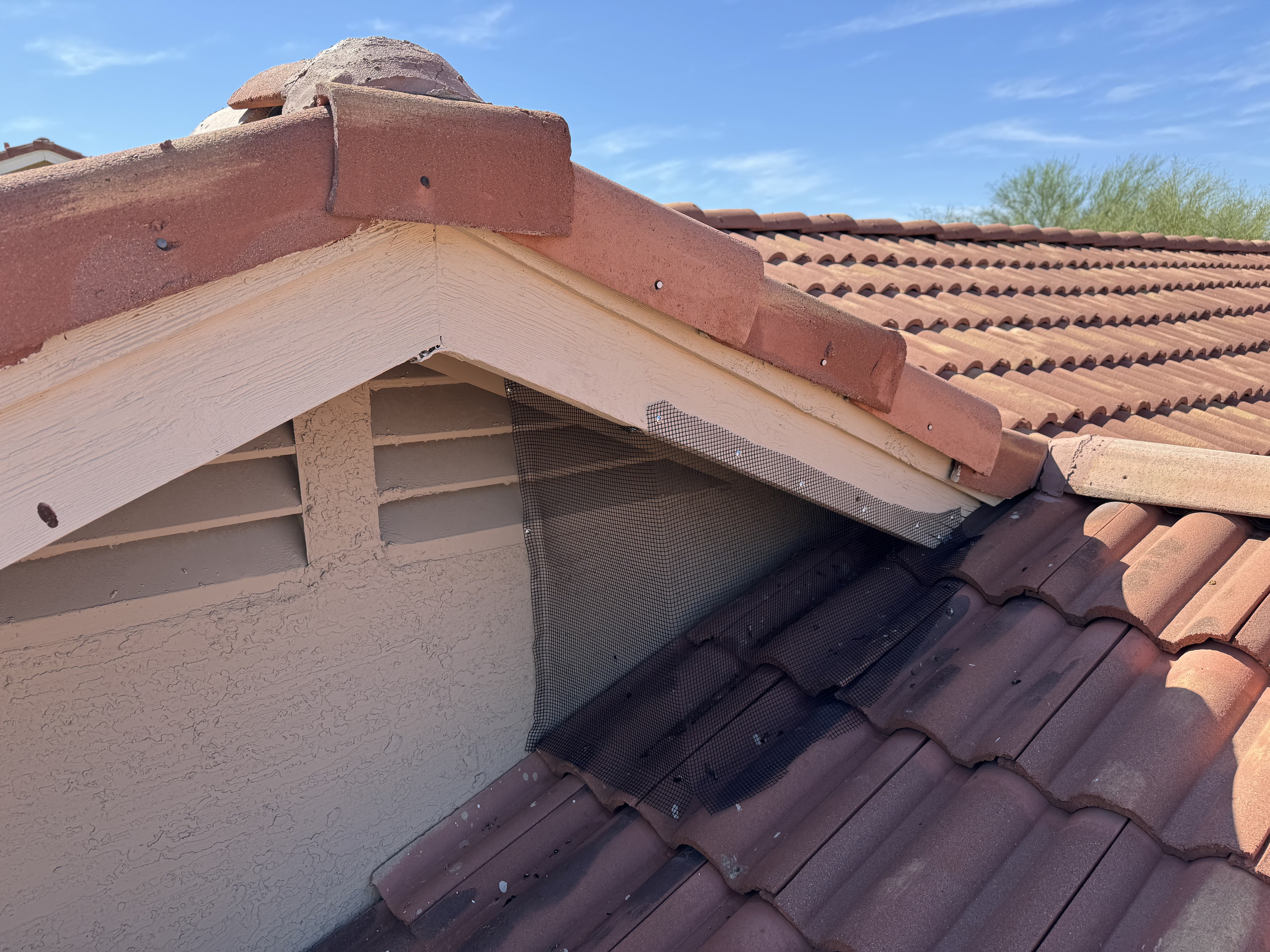 Darling Wildlife and Pest Control Services Image