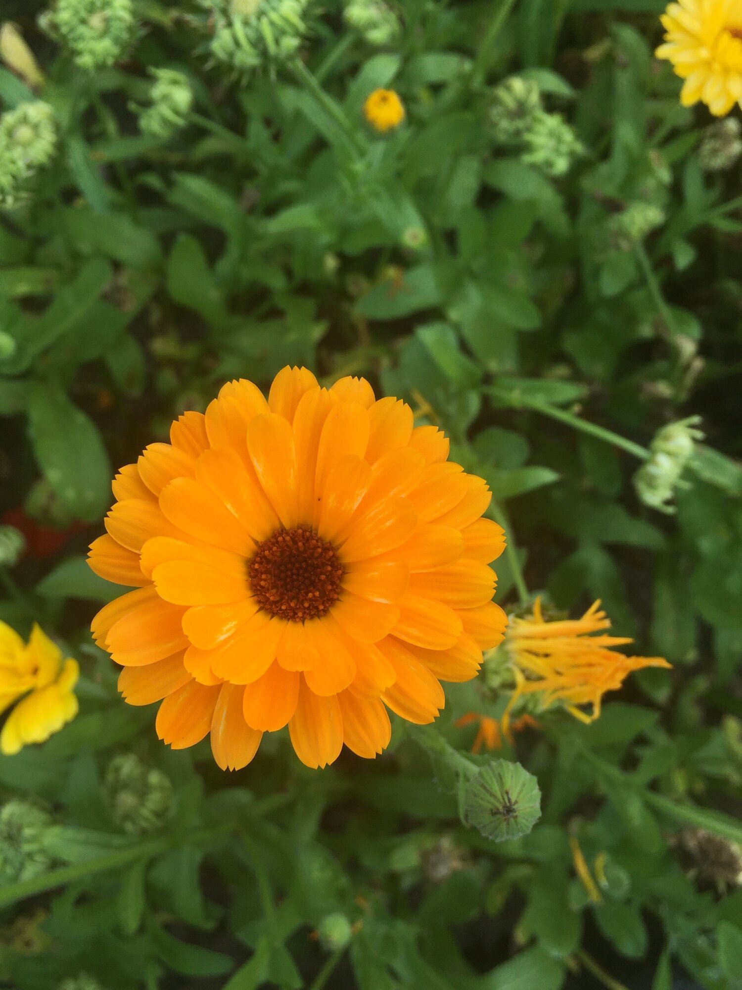 Images Cornwall Massage & Yoga Therapy with Cate Manby