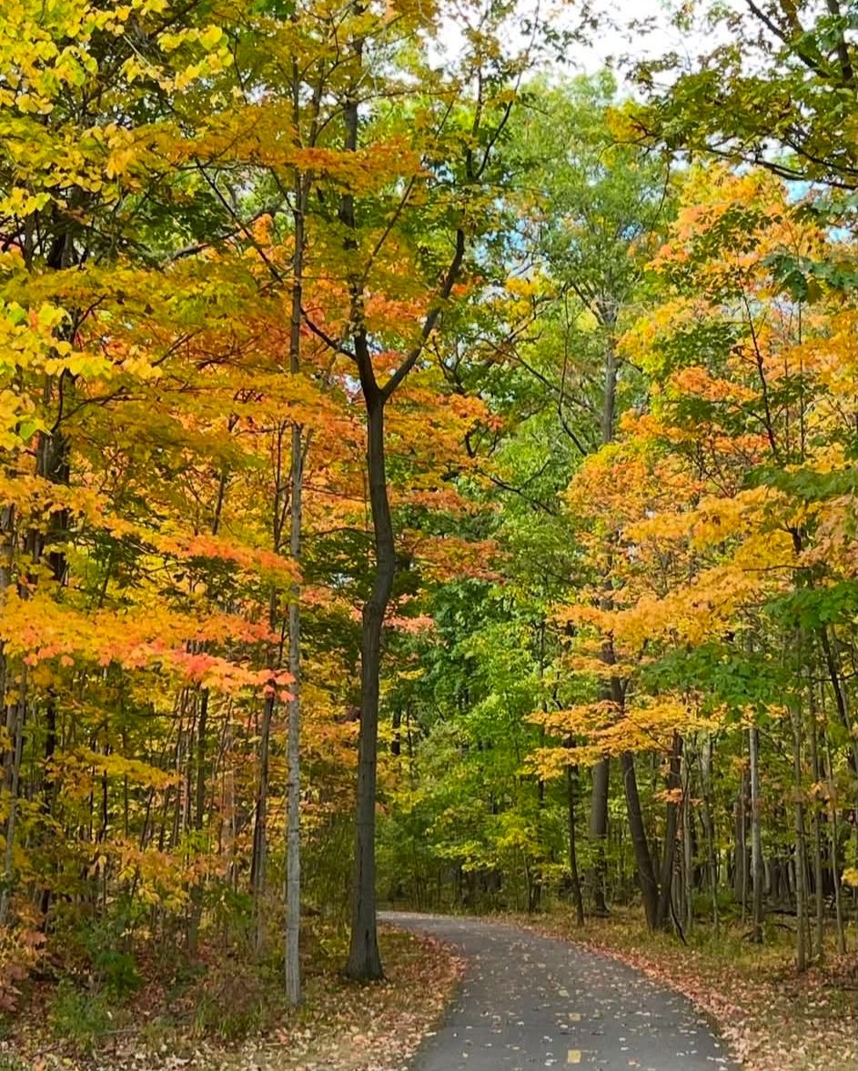 Happy First Day of Fall!!