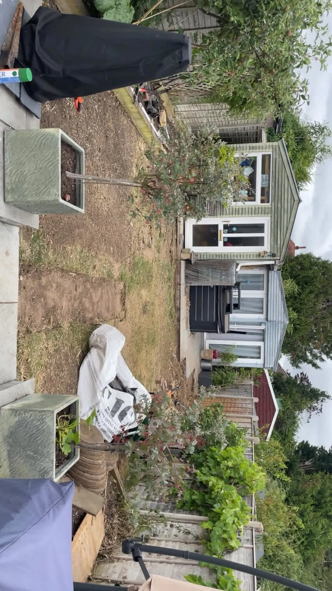 Images Oakwood Tree & Landscaping Services