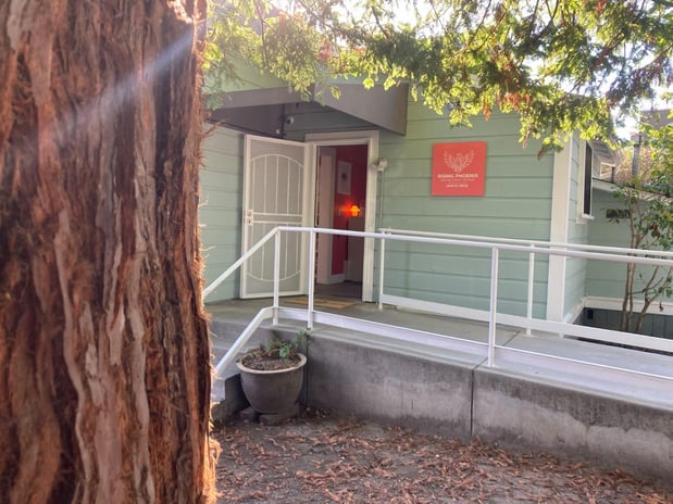 Images Rising Phoenix Entheogenic Temple (Mushroom Church)