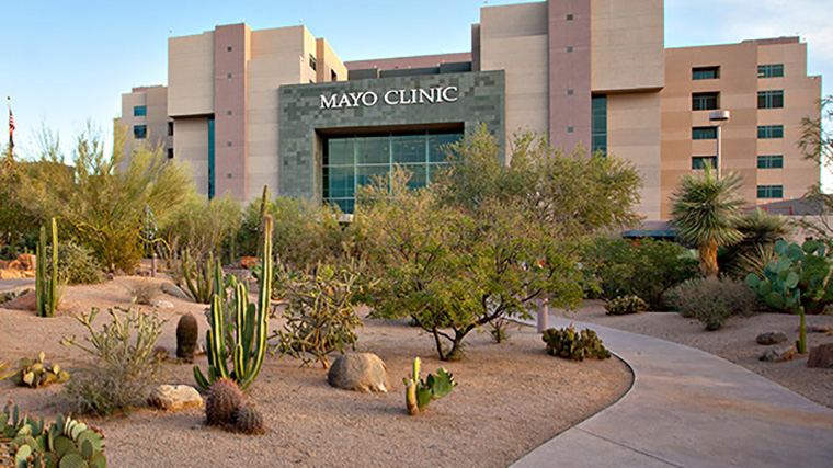 Images Mayo Clinic Kidney Transplant Program