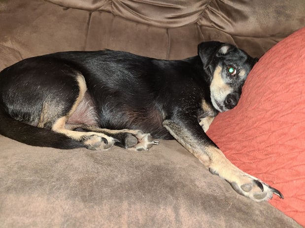 Images Michael Venable - State Farm Insurance Agent