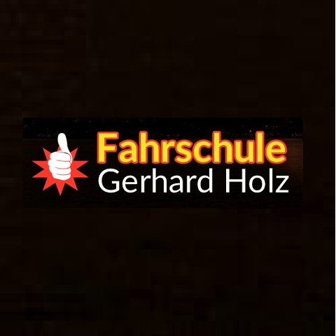Logo Fahrschule Holz