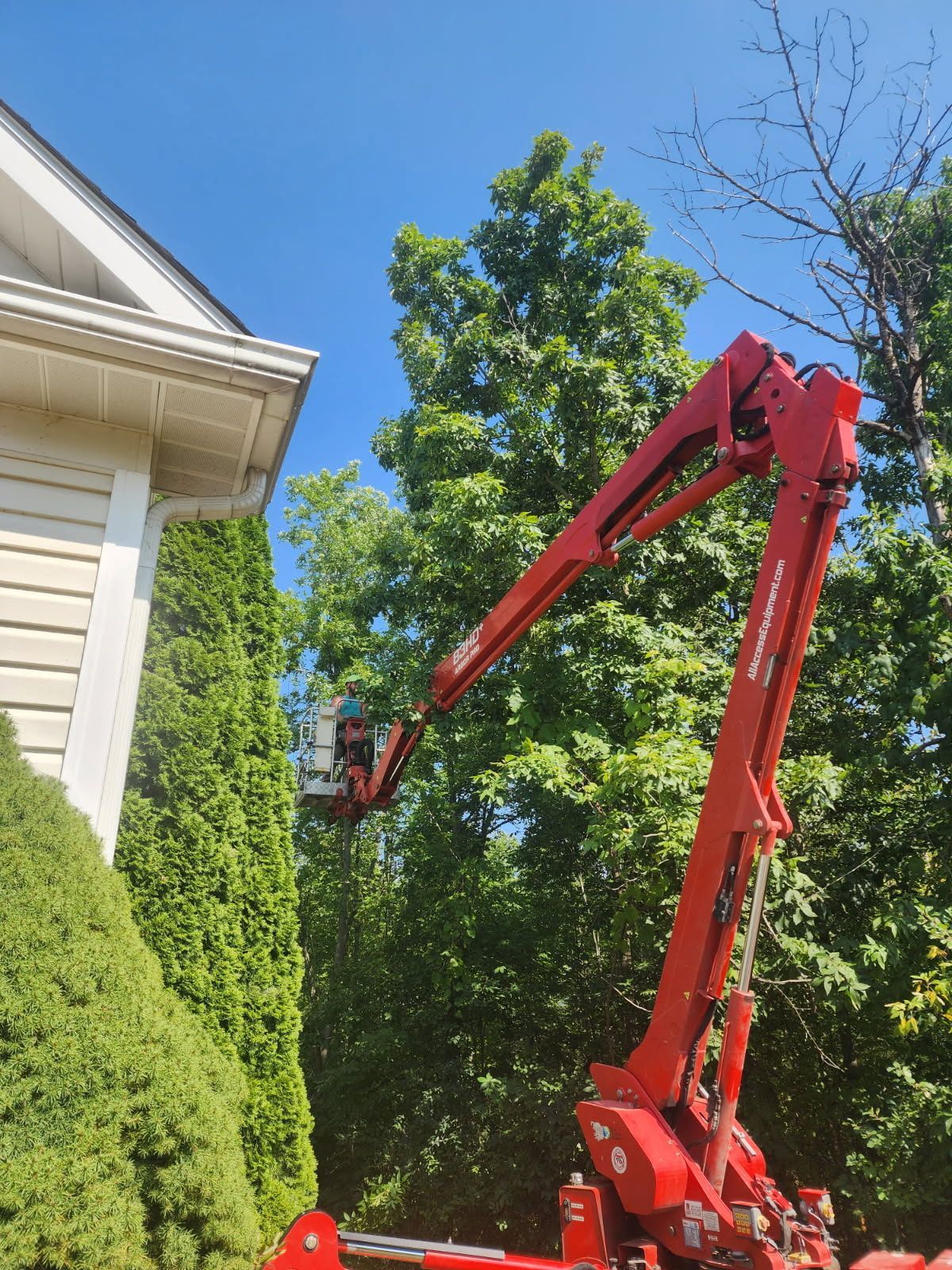 Northeast Tree and Crane Service Image