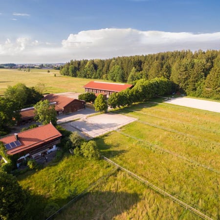 Bilder Pferdepension Almhof Thann
