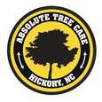 Absolute Tree Care of Hickory LLC - Hickory, NC 28602 - (828)294-4724 | ShowMeLocal.com